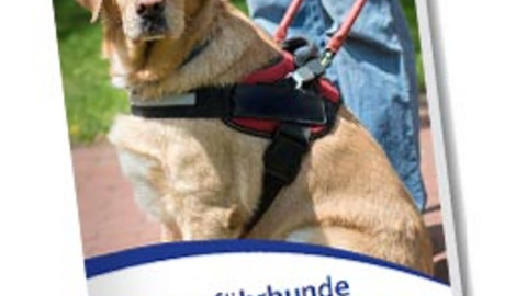 Ein Bild des Faltblattes. Ein Blindenführhund schaut direkt in die Kamera.